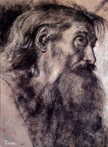 Gammel manns hode Tegning av Tiziano Vecellio kalt Titian (1485-1576) Paris fra 1500-tallet, Louvre-museet av Titian (c.1488 1576)