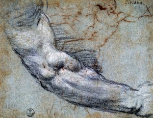 Studie av arm, av Titian (ca 1488-1576), tegning av Titian (c.1488 1576)