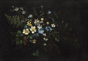 Spray av blomster og bregner, dato ukjent. av Titian Ramsay Peale