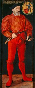 Portrett av Zürich-fanebæreren Jacob Schwytzer, 1564