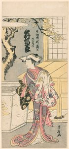 Nakamura og Mijuro Doctor Asa Femae Fox-medlem Te S fra Te Pay, Jigo torii hoppende rev (Nakamura og Mijuros hunnrev av Mt. av Torii Kiyonaga
