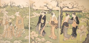 Unge damer ser på kirsebærblomster i Asukayama. av Torii Kiyonaga