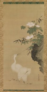 Egrets and Cotton Roses, midten til slutten av 1600-tallet. av Tosa Mitsuoki
