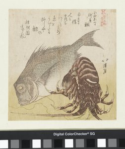 Havabboren til Yanagiya i Odawara Chô Odawara Chô Yanagiya tai (tittel på objekt) Kjente produkter fra Edo (serietittel) Edo meibutsu (serietittel på objekt) av Totoya Hokkei