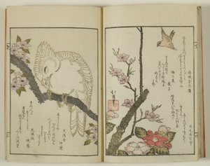  av Totoya Hokkei