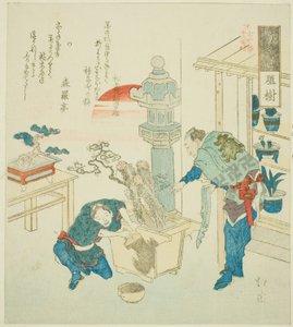 Potteplante (Ueki), fra serien "Eighteen Illustrations of the Ladder of Ancient Words (Kogentei juhachiban tsuzuki)" av Totoya Hokkei