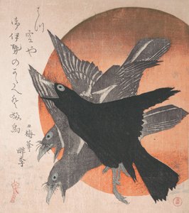 Three Crows against the Rising Sun, fra serien Three Sheets Mihira no uchi , ..., midten av 1810-tallet. av Totoya Hokkei