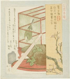 Sanger i bur, fra serien "A Series for the Hanazono Group (Hanazono bantsuzuki)" av Totoya Hokkei