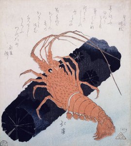 Langoustine with a Block of Charcoal, ca. 1830 (farget treblokktrykk) av Toyota Hokkei