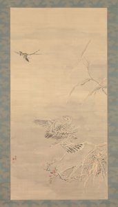 Hawk Grasping a Small Bird, 1800-tallet.