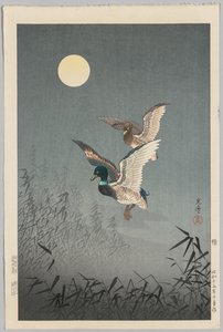 Tokyo Views: Ducks av Tsuchiya Kōitsu