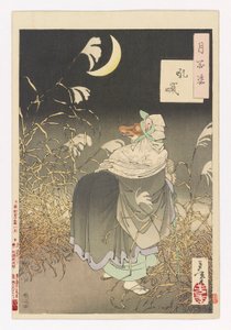 Cry of the fox: # 13 av One Hundred Aspects of the Moon