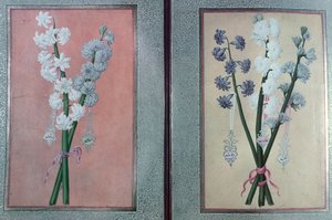 T.K.Hazine 413 Two Hyacinths, 1736 av Turkish School