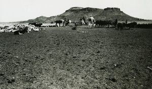  av Ugo Monneret de Villard