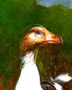  av Uma Gokhale