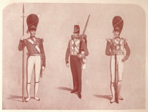 1. eller Grenadier Regiment of Guards i 1815, 1909 av Unbekannt
