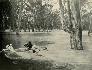 En bankmann, 1901. av Unbekannt