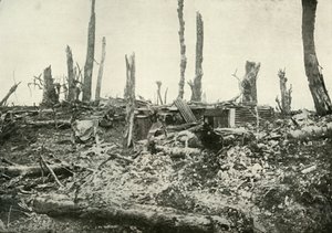 A Dug-Out i What Was Once A Sylvan Wood, 1919. av Unbekannt