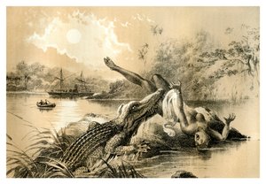 En skremmende hendelse, 1883 av Unbekannt