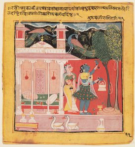 En dame som plukker blomster med påfugler, Gunakali Ragini fra Malkos, fra Chawand Ragamala, 1605. av Unbekannt