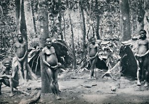 En pygmélandsby, Nordøst-Kongo-bassenget, 1912 av Unbekannt