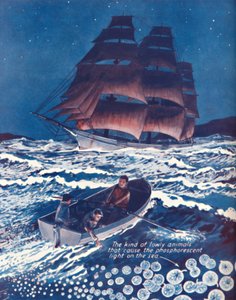 Et hav opplyst av levende nattlys, 1935 av Unbekannt