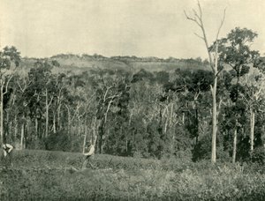 En viktoriansk fjellgård, 1901. av Unbekannt