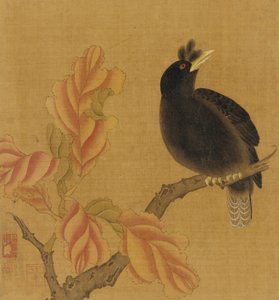 En svarttrost på en gren, høstløv, Qing-dynastiet, 1700-tallet. av Unbekannt