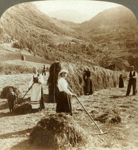 En bondefamilie som lager høy i en solrik åker mellom fjellene, Roldal, Norge, ca 1905. av Unbekannt