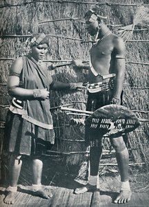 Et par Zulu-elskere, 1912 av Unbekannt