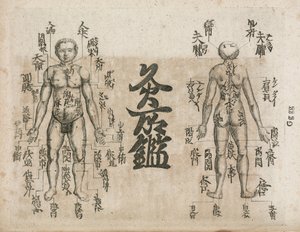 Akupunkturkart for menneskekroppen som viser moxibustion-punkter (Moxabustion-diagram som viser hvor aper bør unngås av Unbekannt