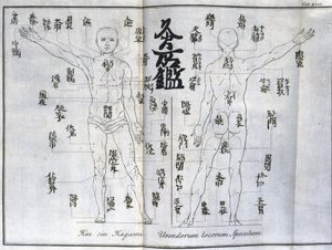 Akupunktur: kart over menneskekroppen som indikerer moxibussjonspunkter, Japan (diagram relatert til moxa, c 1690) av Unbekannt