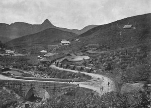 Adamspik og Brownlow Tea Plantation, 1926 av Unbekannt