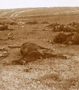 Etter siktelsen, Beauséjour, Nord-Frankrike, c1914-c1918 av Unbekannt