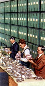 Air Raid Precautions, sigarettkort, britisk, 1938 av Unbekannt