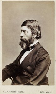 Alexander William Williamson , skotsk kjemiker, ca 1865 av Unbekannt