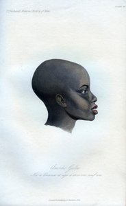 Amochi Galla, et portrett av en Galla, 1848 av Unbekannt