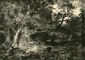 En gammel tysk skog, 1890. av Unbekannt