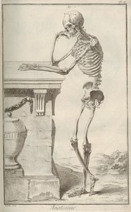 Anatomi. Fra Encyclopédie av Denis Diderot og Jean Le Rond dAlembert, 1751-1765. av Unbekannt