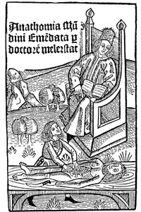 Anatomi demonstrasjon, 1493 av Unbekannt