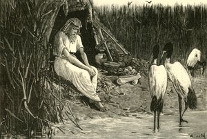 Anysis skjult i myrene i deltaet, 1890. av Unbekannt