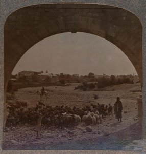 Akvedukt som viser Jeriko gjennom Arch, ca 1900 av Unbekannt
