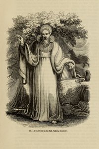 Arch-Druid i sin fulle rettslige kostyme Fra boken Old England: A Pictorial Museum, 1845 av Unbekannt