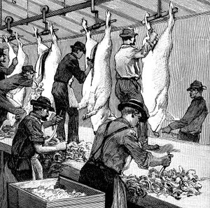 Armour Companys griseslakteri, Chicago, Illinois, USA, 1892 av Unbekannt