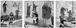 Armour Companys griseslakteri, Chicago, Illinois, USA, 1892 av Unbekannt