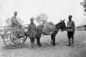 Hærens tjenestekorp, Howshera, 1917 av Unbekannt