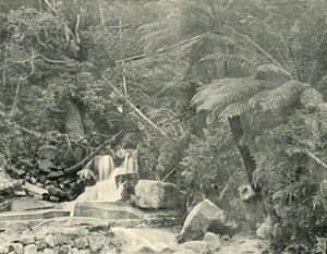 Ved St. Crispins Well, 1901. av Unbekannt