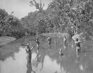 Australian Aborigines Spearing Fish, 1800-tallet av Unbekannt