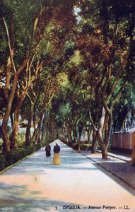Avenue Poirpre, Ismailia, Egypt, c1900 av Unbekannt
