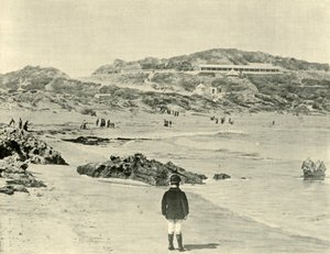 Back Beach, Sorrento, Victoria, 1901. av Unbekannt